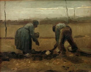 Kartoffelsetzen
